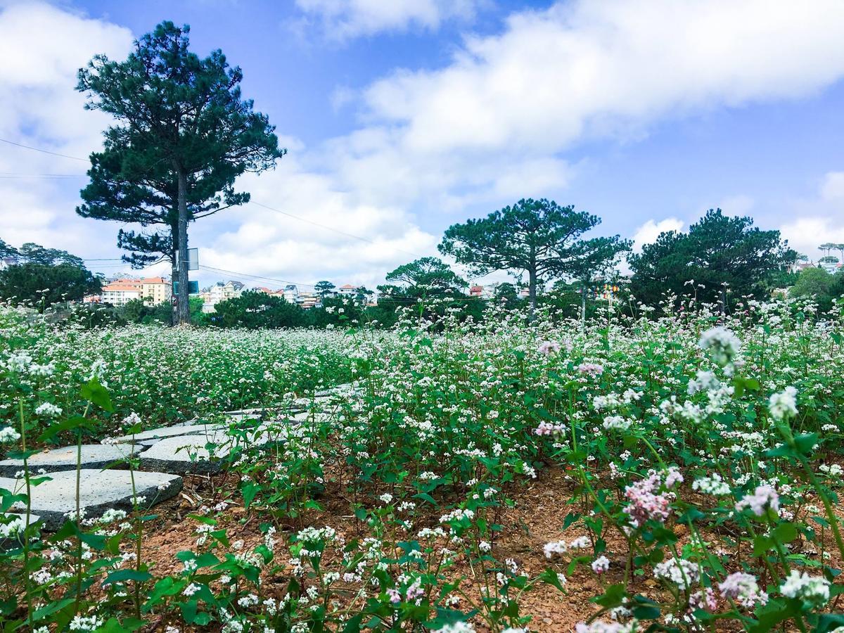 The Kupid Hill Homestay Da Lat Exterior photo